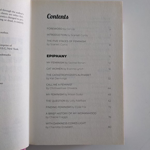 Feminists Don't Wear Pink and Other Lies - Picture 6 of 10